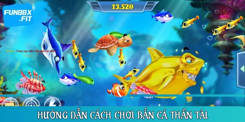 Hướng dẫn chi tiết cách săn cá để tối ưu khoản lợi nhuận